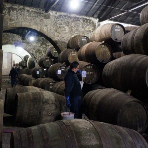 Port Barrels in Oporto, Portugal © Edward Mack
