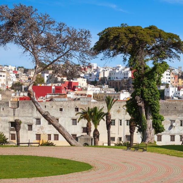 Jardins de La Mendoubia, Tangier, Morocco © Eugenesergeev | Dreamstime 48252938