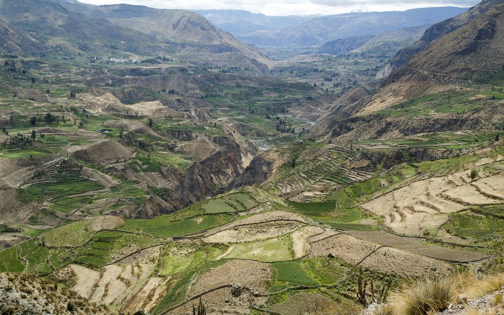 Colca Canyon, Peru © Jakub Wojtowicz | Dreamstime 43117807