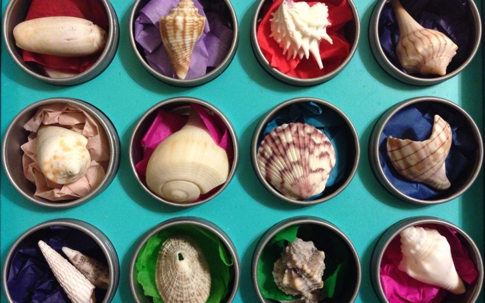 Bailey-Matthews National Shell Museum, Sanibel Island, Florida © Sally Wilson | Flickr