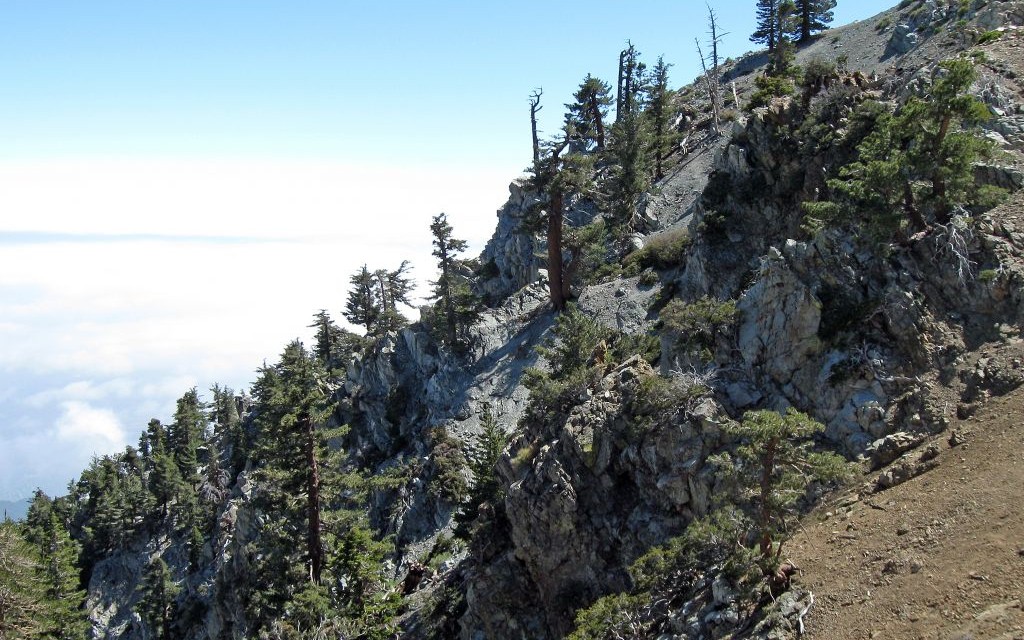 Icehouse Canyon, Angeles National Forest, California © Mitch Barrie | Flickr