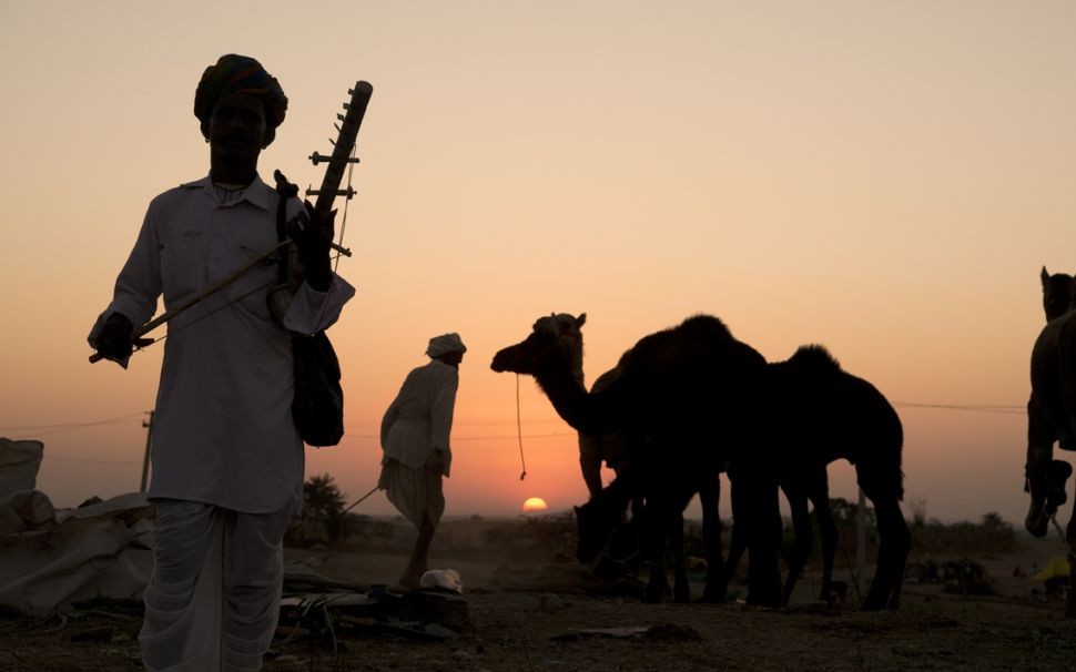 2 Pushkar Camel Fair, Rajasthan, India © Koshy Koshy | Flickr