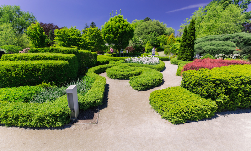 Toronto Botanical Garden