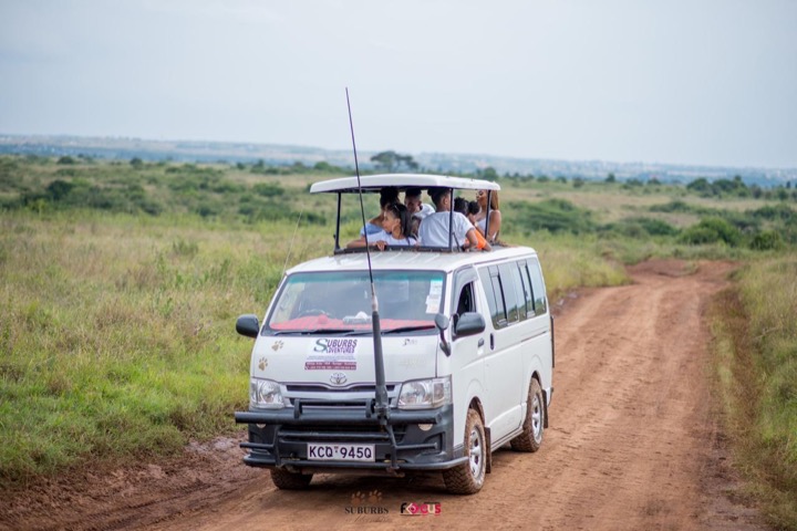 safari