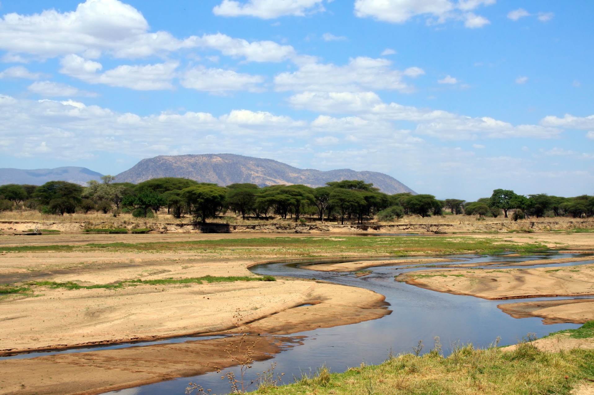 Ruaha National Park