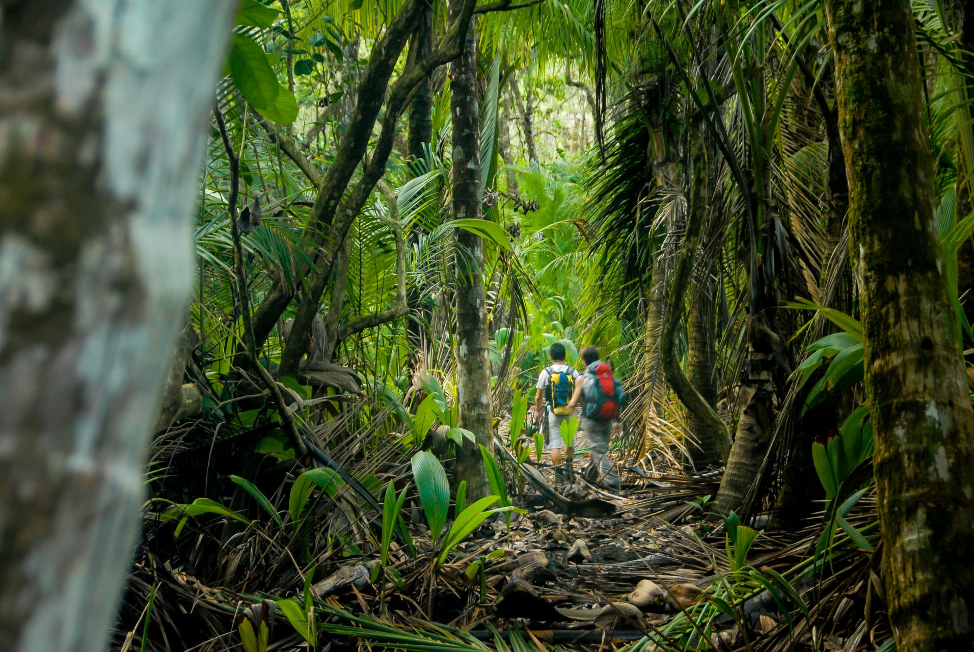 Costa Rica